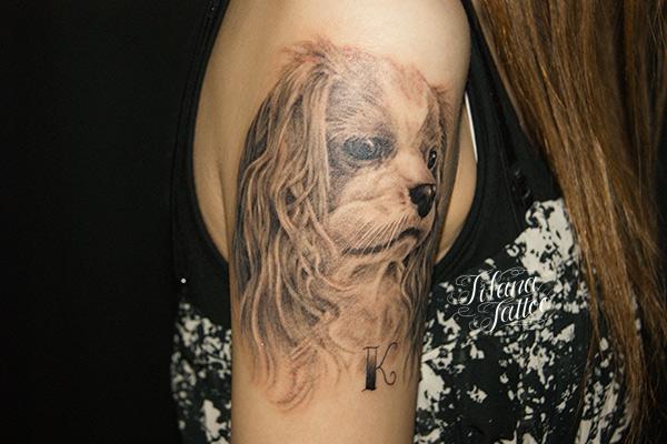 Image result for cocker 犬 入れ墨